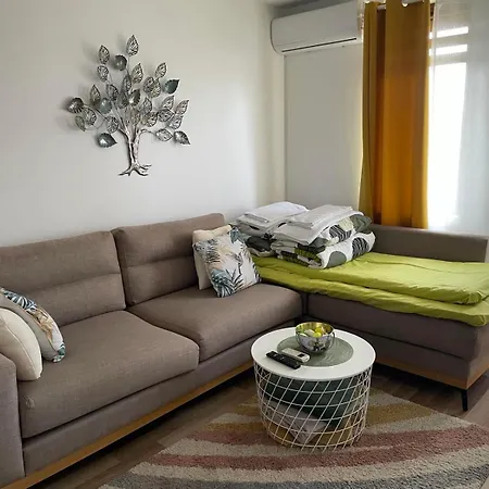 Sunny Hill Apartment